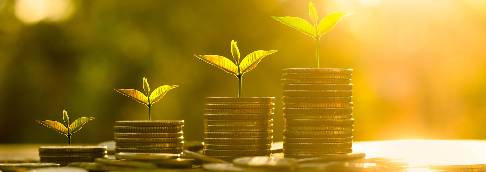 sprouts growning from stacks of coins